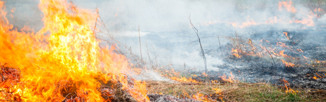 Päästeameti kannatus hakkab katkema: süüdimatu maaomanik tekitas suure maastikupõlengu