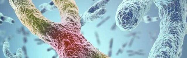 Geen kahekordistab kopsupuudulikkuse ja koroonasurma ohtu