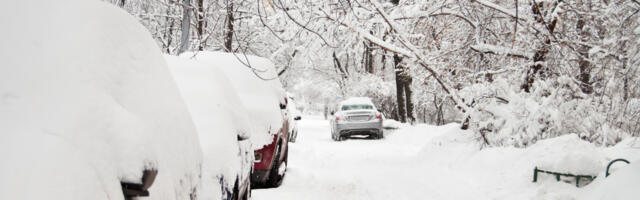 Tugev lumesadu on põhjustanud ulatuslikud elektrikatkestused üle Mandri-Eesti