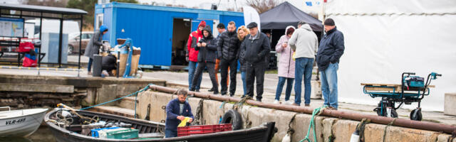 Avatud kalasadamate päev tõstis kalanduse au sisse