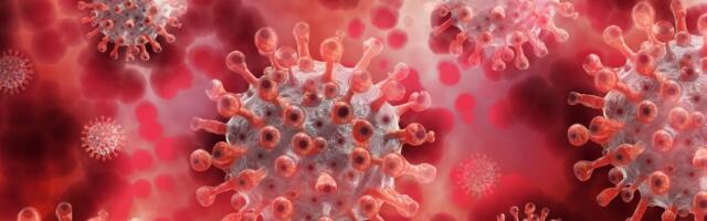 Panusta teadustöösse: Tartu Ülikool kutsub osalema viirushaiguste uuringus