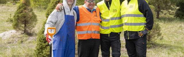 Karl Madisel sünnib koos suvesulastega UUS HITT!