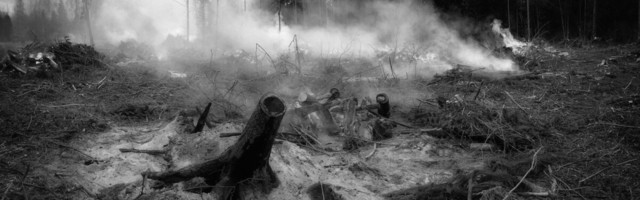 Suits elab! Metsapõlengutes tekkiv suits kubiseb pisikutest