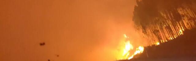 Tulised leegid ja teravad haihambad