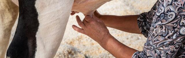 Anu Laas: maanaine ei peaks uudistesse sattuma vaid seetõttu, et kuulis suurt pauku