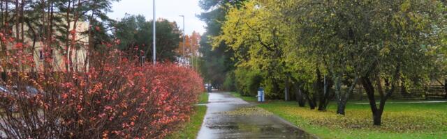 Ruslan Dontsov NÄDALA FOTO