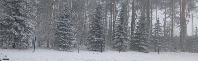 LUGEJATE FOTOD | Maad katab lumevaip! Üle Eesti sadas maha kohev lumekiht