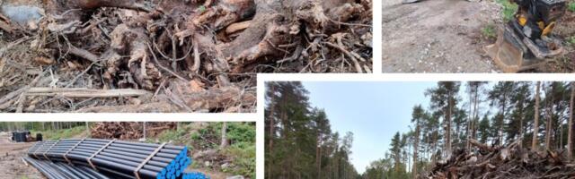 GALERII: taristuehitus Pringi põlismetsas täies hoos