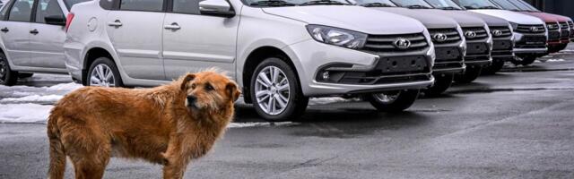 Venemaa automüügi edetabel: Lada, Lada, Haima, Lada