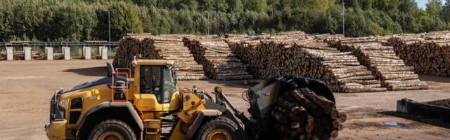 Laura Uibopuu: oleme saamas metsariigist võsariigiks