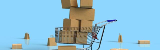 Uuring: vaid 16% eestlastest ostab veebis sageli