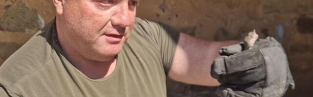 Da li u Srbiji imamo najezdu otrovnica? Zmijolovac Vladica upozorava: Ako ih sretnete, ne činite OVU grešku