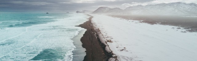 Kas viirus päästab või hukutab maailma?