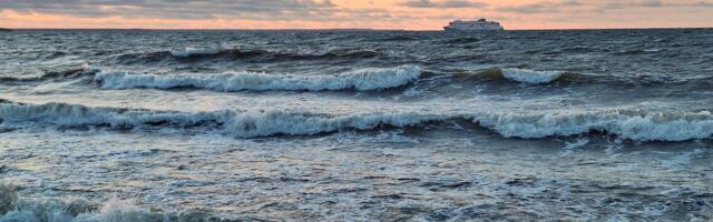 KOMMENTAARIDETA: rannik Vabaõhumuuseumi juures 30. detsembril 2024