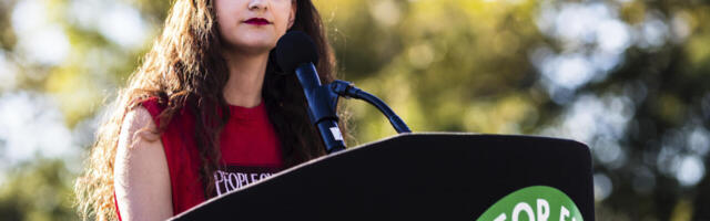 Politsei kütib pedofiile, saak on hea, aga võiks olla palju parem