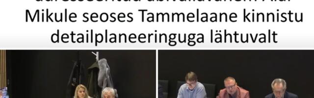 Alar Mik viitas Margus Kruusmägi survele Tammelaane ehituslubade kiirkorras menetlemisel