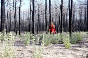 Tulevikku vaatav humanitaaria