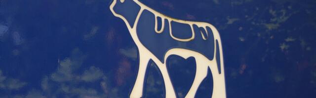 Minu portfell lõi uue rekordi, aga Novo Nordisk, Incap ja Wise röövivad unerahu