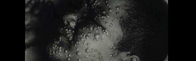 Varem Kesk- ja Lääne-Aafrikas levinud ahvirõuged on jõudnud juba 15 riiki