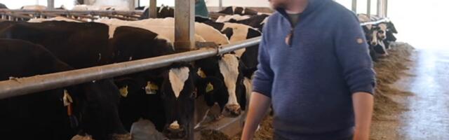 Parim piimakarjakasvataja Sven Tammoja vastutab 5000 veise heaolu eest