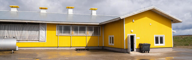 Raskustes Eesti piimatööstus näib olevat välismaalaste pärusmaa