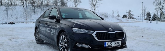 Škoda Octavia – keskpärasuse diskreetne võlu