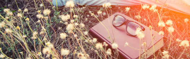 Valner Valme raamatusoovitused: tekstid töö ja peo vahele