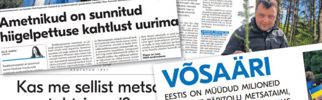 Hiigeltüssamine metsanduses osutus väljamõeldiseks. Perefirma esitas kohtule hagi valeväidete ümberlükkamiseks