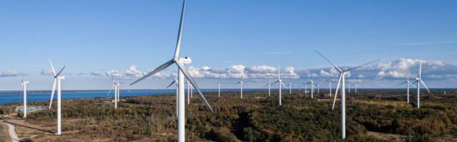 Ettevõtjad: energiamahuka tööstuse arendamine Eestis vajab tugevamat riiklikku koordinatsiooni