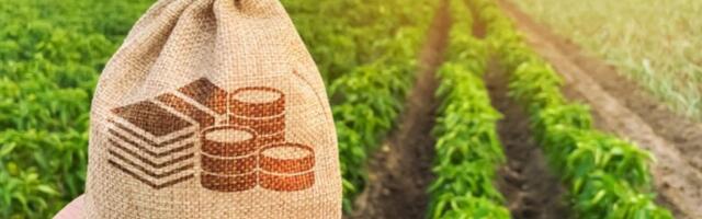 Anija Valla maamaksumäärade plaanitav tõus 2025. aastal