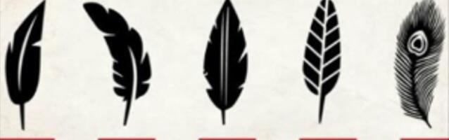 Vali üks sulg ja loe mis see sinu kohta ütleb.