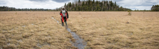 Romet Vaino: peegel karu silmades