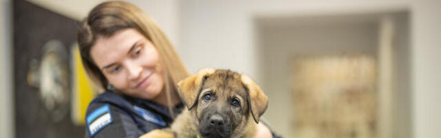 Lõuna prefektuuri käpapatrull  sai uue liikme