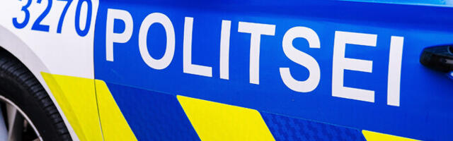 Из Эстонии выслали грузинского нелегала: он неоднократно буянил в пьяном виде