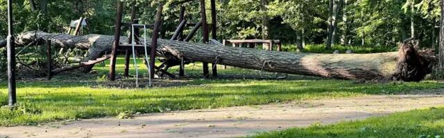 Sten Paal NÄDALA FOTO