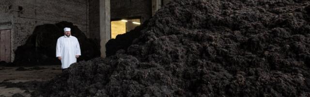 Kristjan Rahu osalusega vetikaäri asub koondama