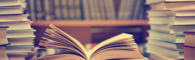 Rein Veidemann: Eesti kirjandusteadvus – kujunemine, lõhang ja killud