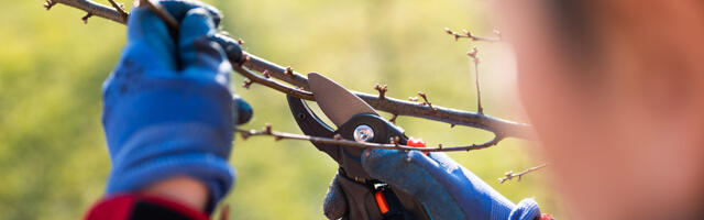 Käes on kevadiste aiatööde aeg!