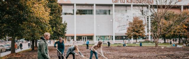 Linnarohtla istutamine Uueturu parki avab Tartu linnalooduse projekti