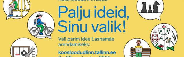 Kaasava eelarve hääletusel saab Lasnamäel valida 14 idee vahel