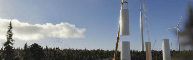 Puidust tuuleturbiinide tornid on reaalsus