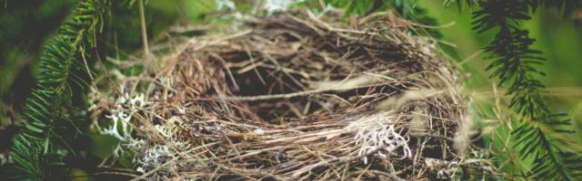 Pesitsusrahu nõuetest peeti kinni