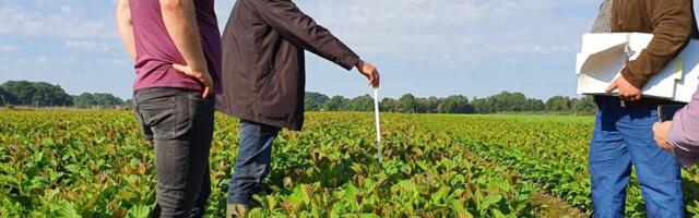 Metsataimede skandaal: kas õigustatud kriitika või karm konkurentsivõitlus?
