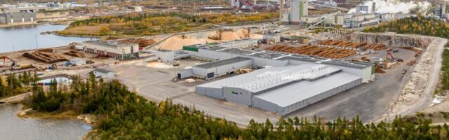 Metsä Group: saematerjali hinnad kerkivad, kuid metsatööstus elab üle madalseisu