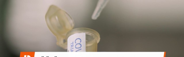 Reporter: Ööpäevaga suri 7 koroonahaiget