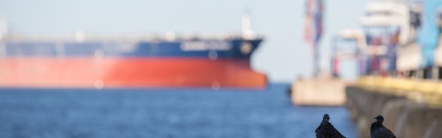 Looduskaitsealal toimuva naftaäri avastaja: seda lausa reklaamitakse nagu liinitööd, tulge aga!