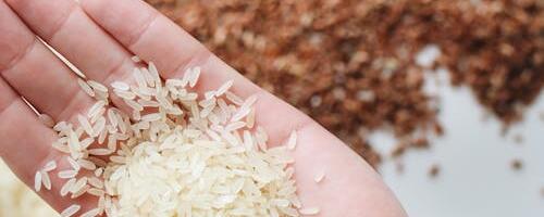 Põllumajandus- ja Toiduamet takistas keelatud riisi sisseveo