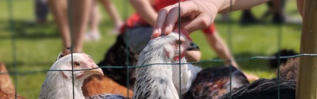 Kodukant Läänemaa võtab fookusse agroturismi arendamise