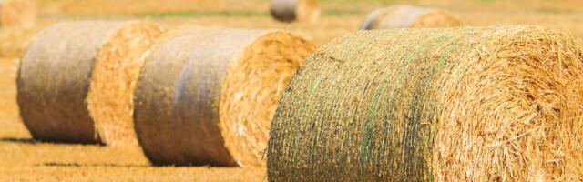 Päevahoroskoop : kolmapäev, 23. juuli