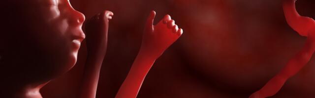 USA kohtunik: usuvabadus tagab "õiguse" emaüsas lapsi tappa